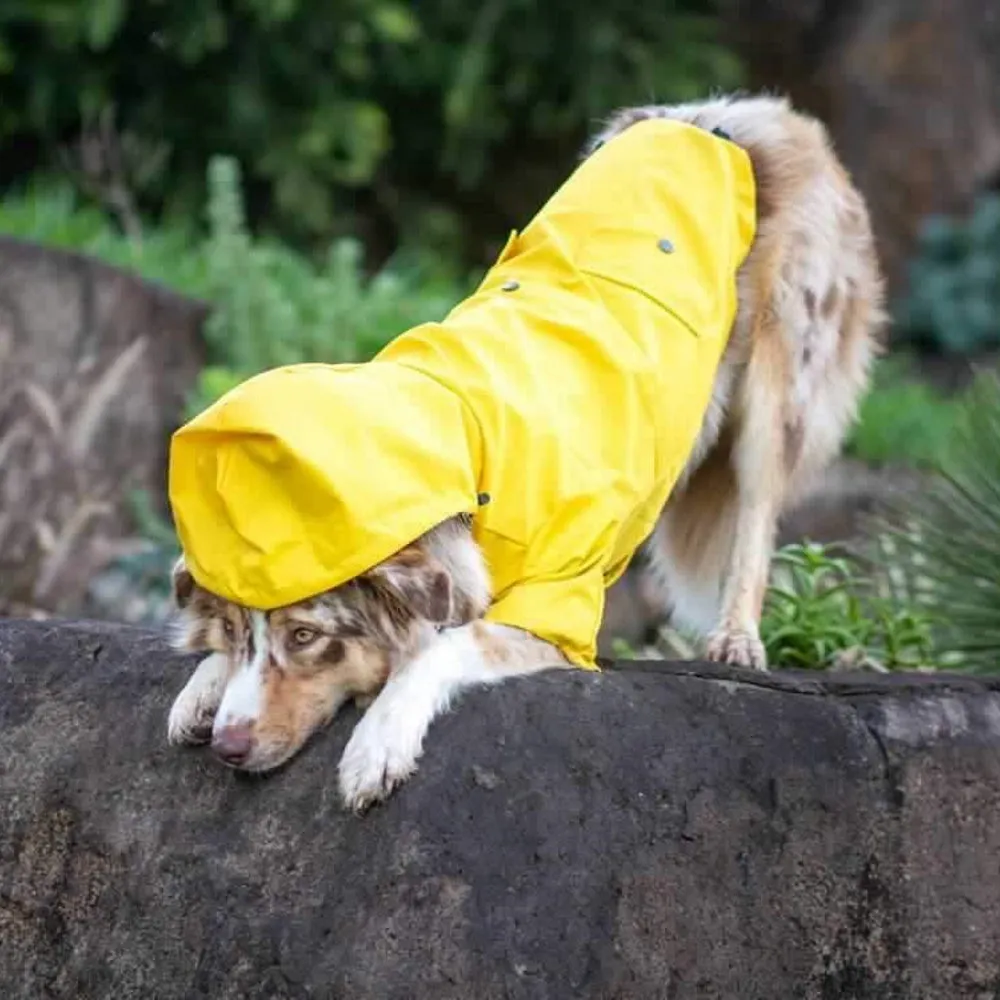 Dog Raincoat - Yellow