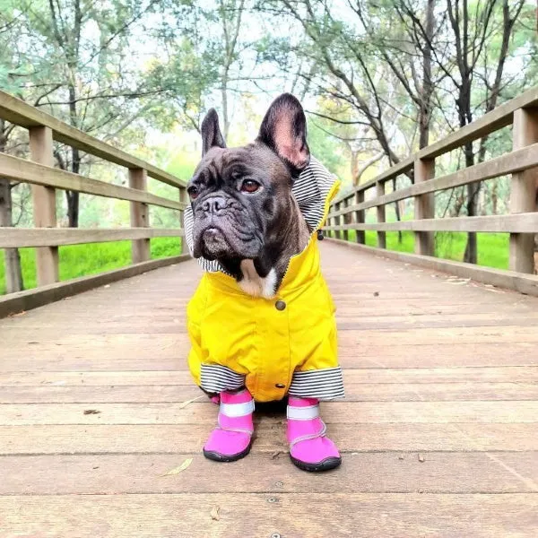 Dog Raincoat - Yellow