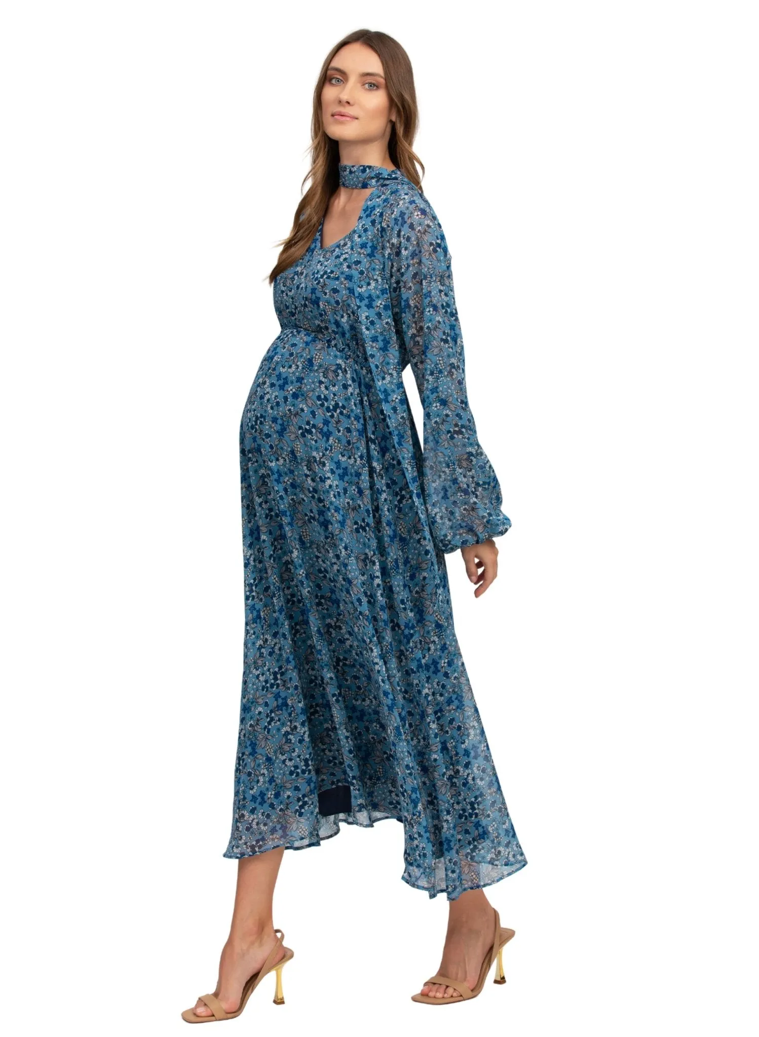 Isabella Maternity Maxi Dress - Pottery Disty