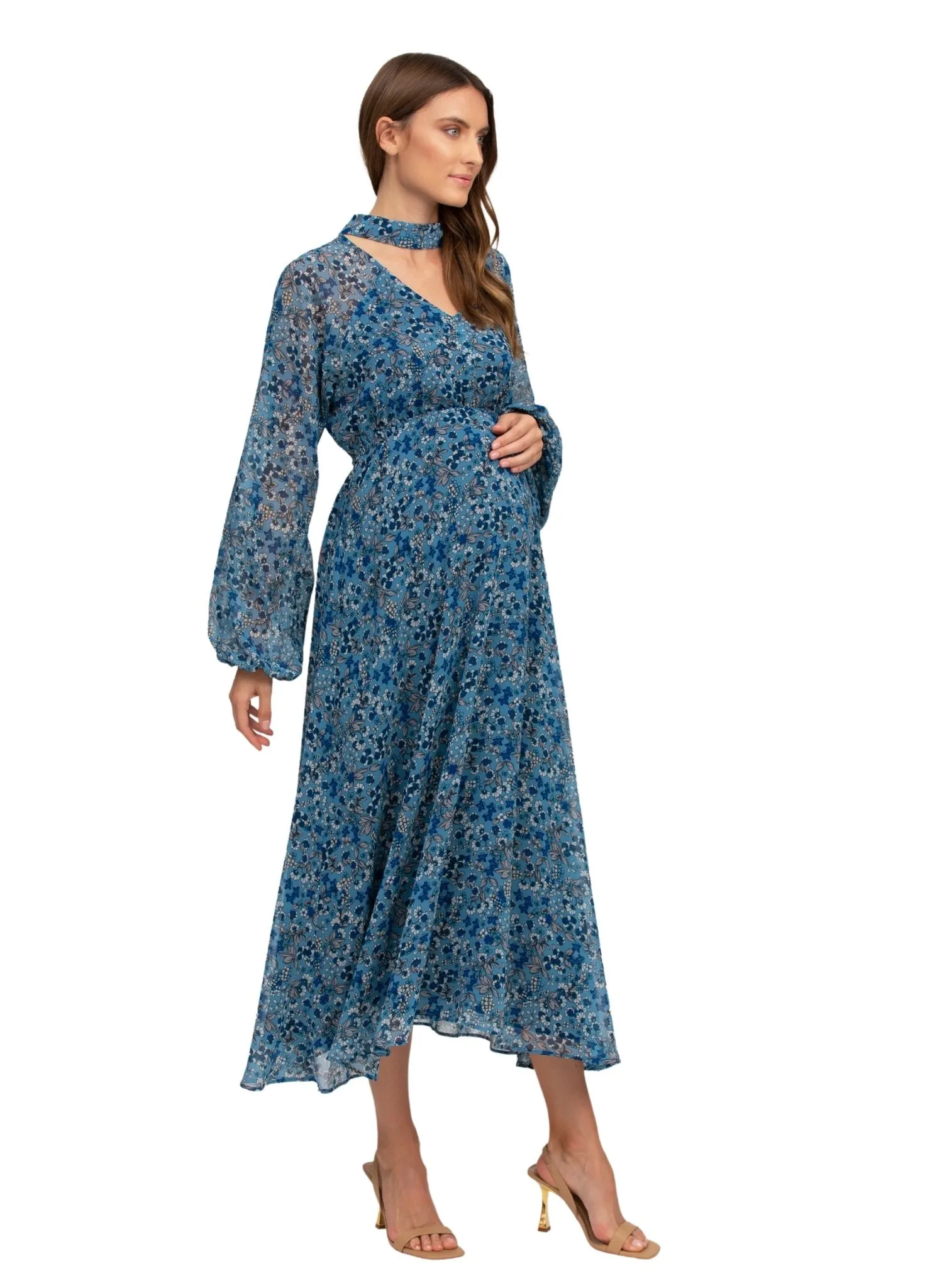 Isabella Maternity Maxi Dress - Pottery Disty