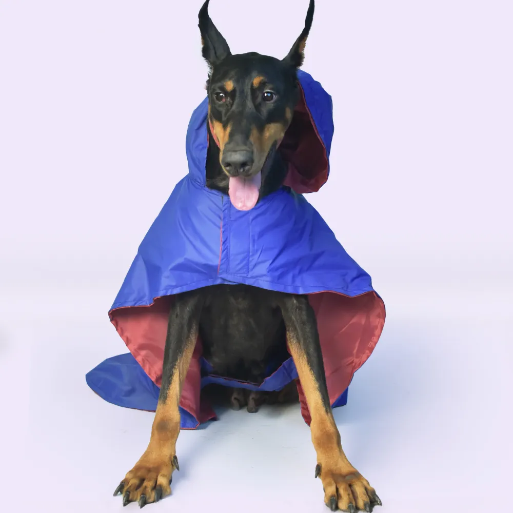 Pet Set Go Cape Style Raincoat for Dogs (Blue)